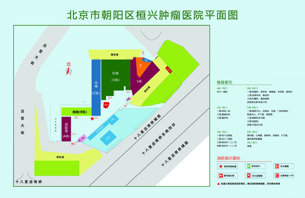 日逼日逼日逼日逼日逼日逼日逼日逼北京市朝阳区桓兴肿瘤医院平面图